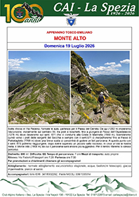 Monte Alto