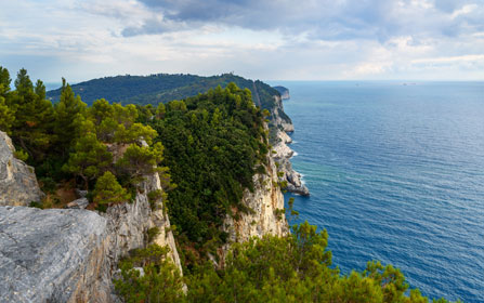 Scuola di Arrampicata